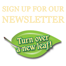 Sign up for our Newsletter